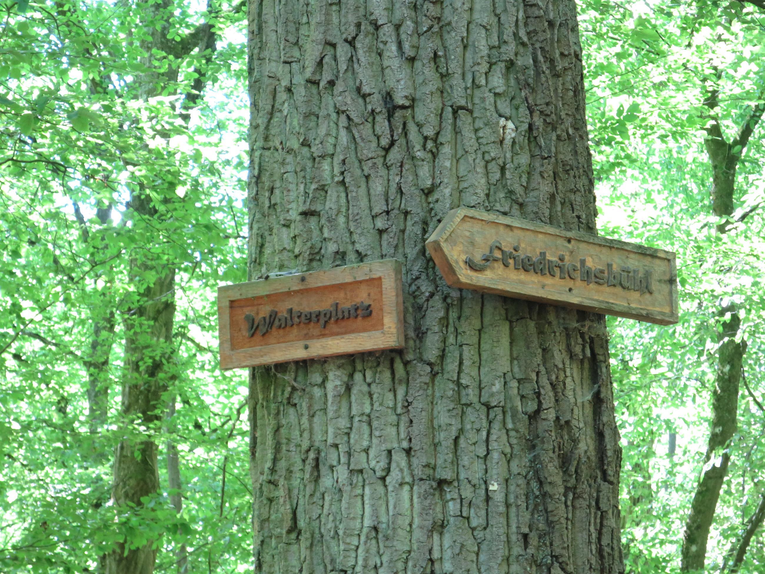 Rastplatz an der Wüstung Friedrichsbühl | Pfalz.de