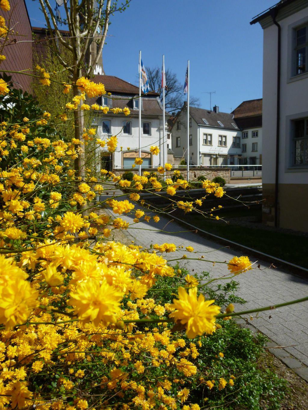 Schloss Veldenz Mit Veldenzturm Pfalz De