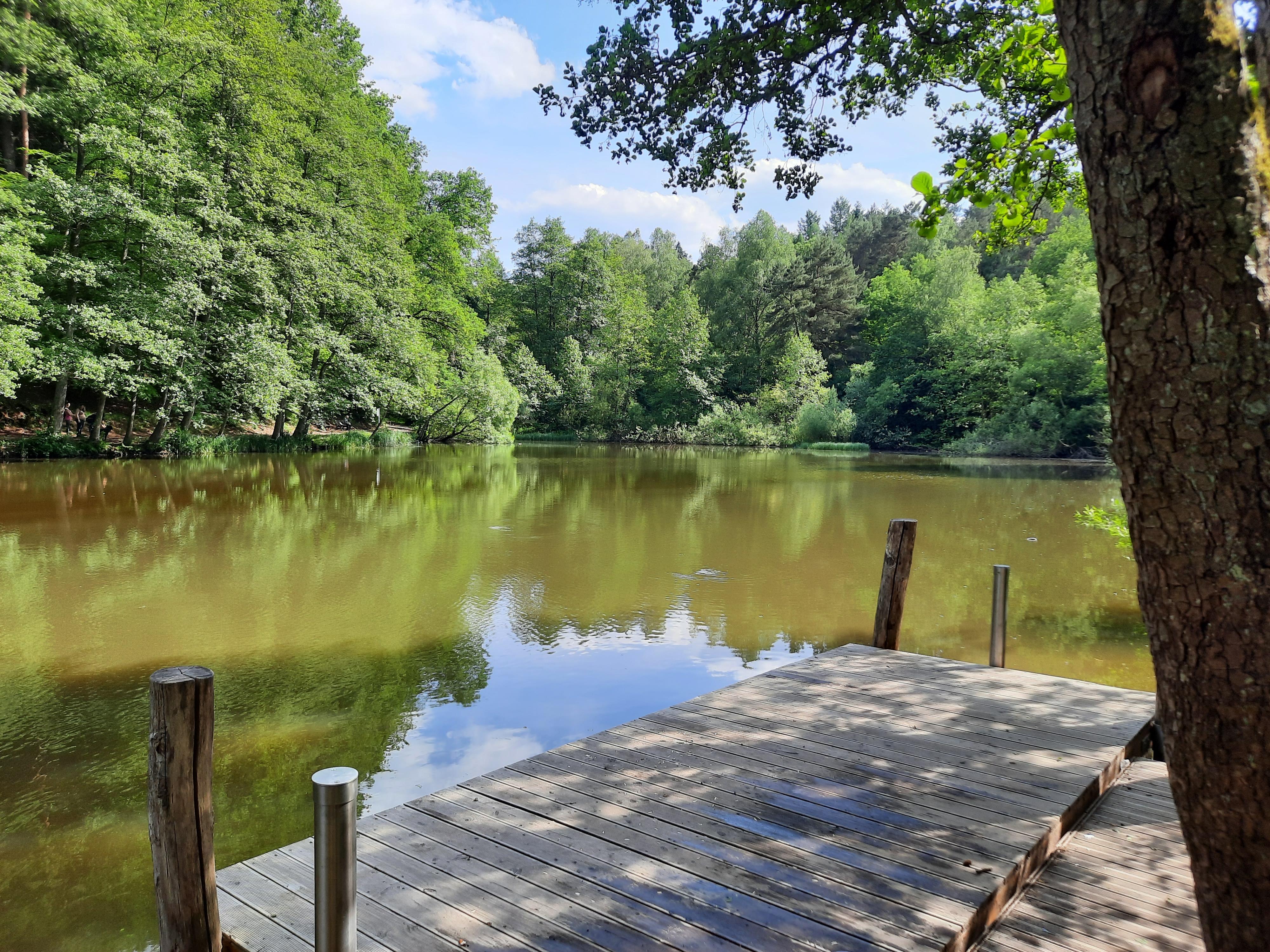 Eisweiher | Pfalz.de