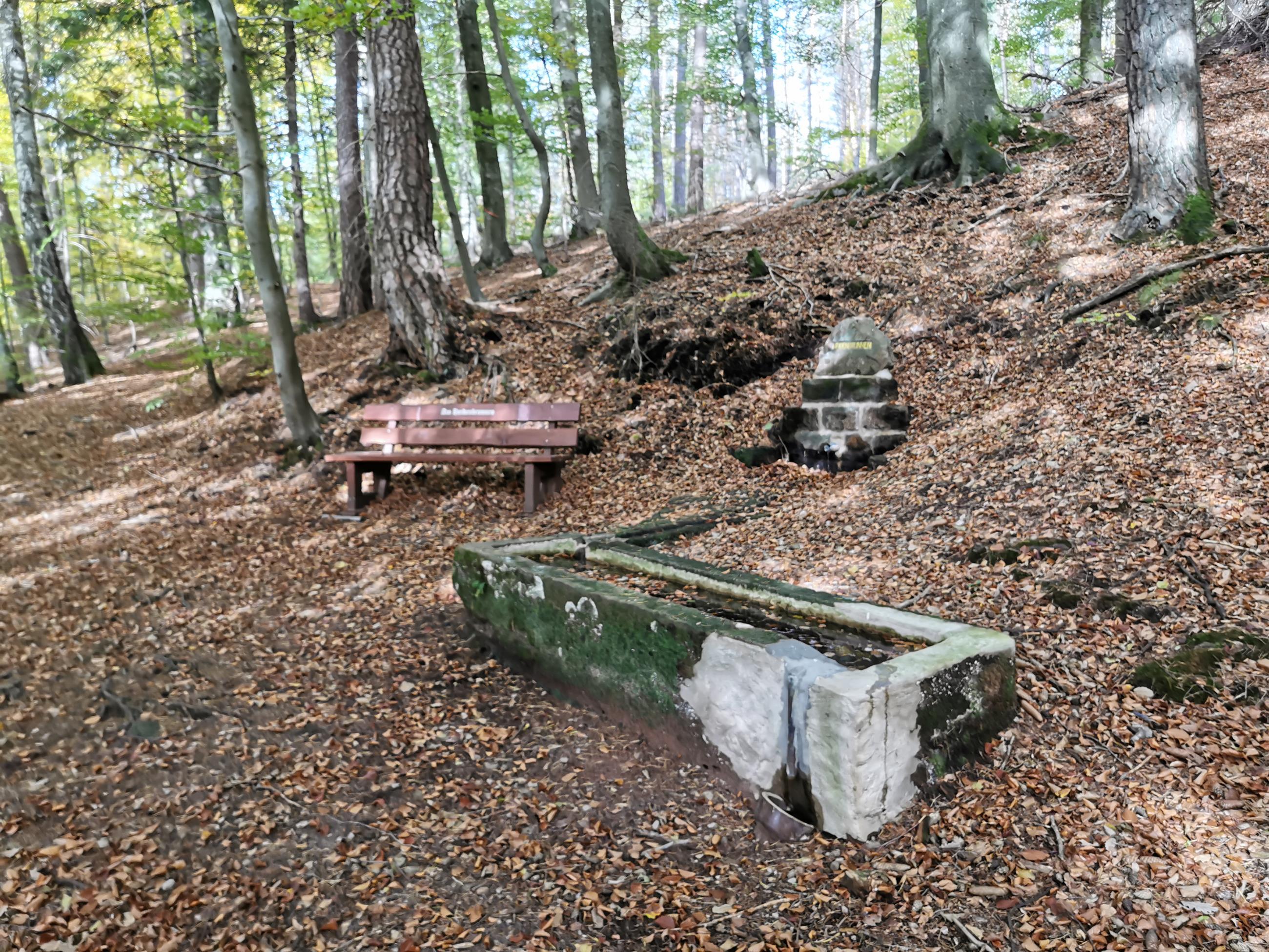 Heidenbrunnen - Esthal / Weidenthal | Pfalz.de