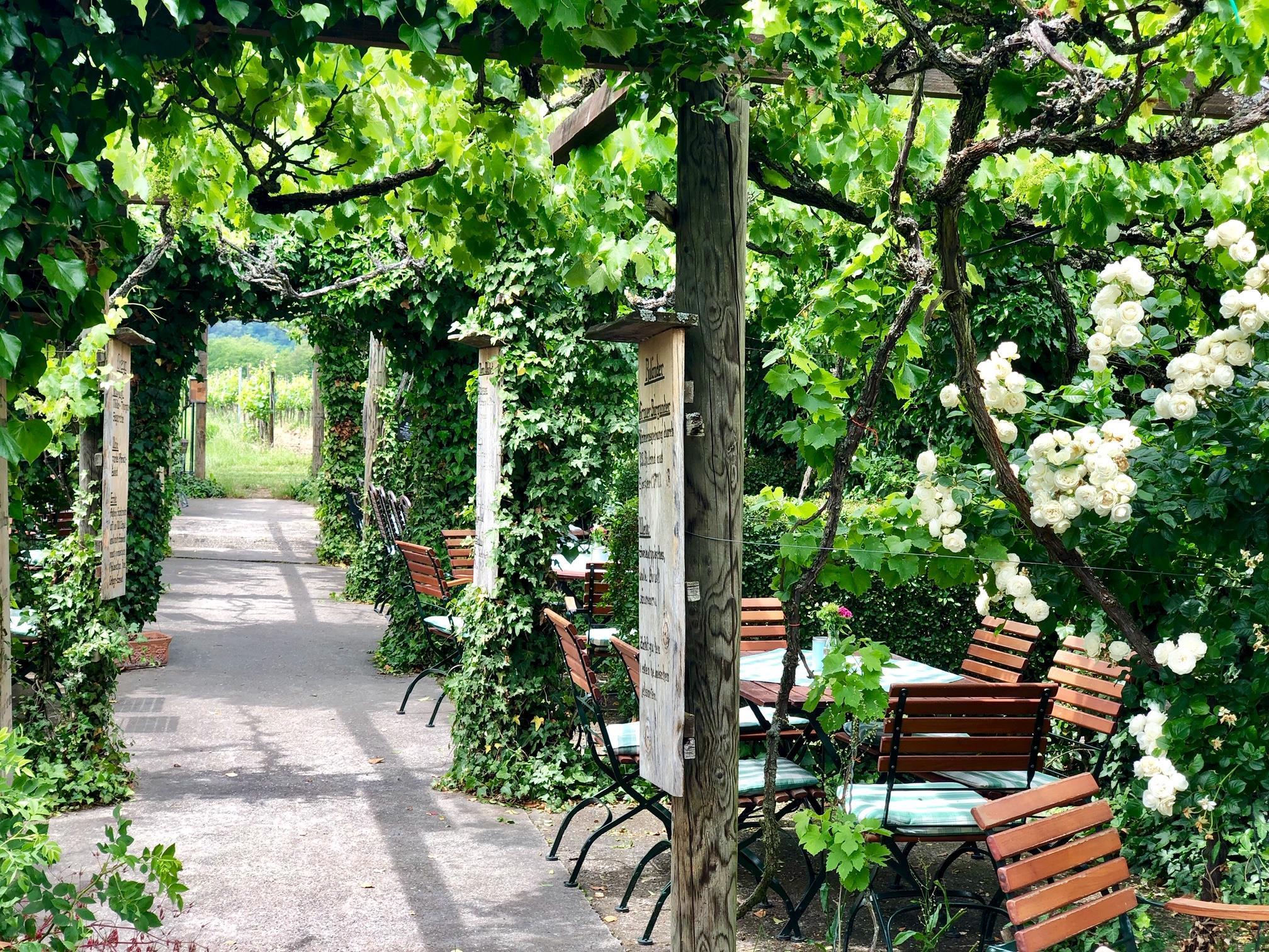 Weingut Kellers Keller | Pfalz.de