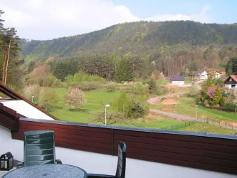 Aussicht I Balkon Ferienwohnung Waldblick (© Thomas Schütze)