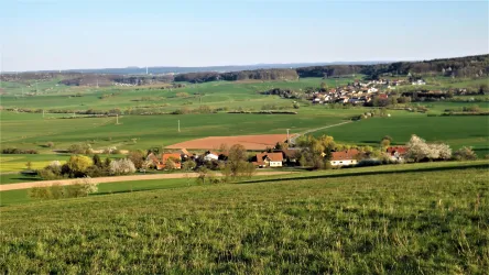 Blick auf Leithöfe vom Galgenberg