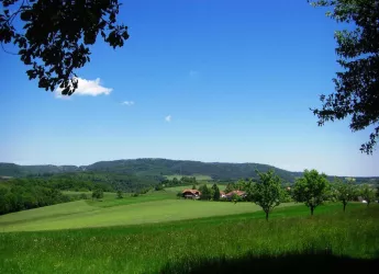 Blick auf Donnersbergmassiv von Igelborner Hütte