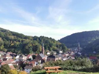 Blick auf Weidenthal vom Kriegerdenkmal