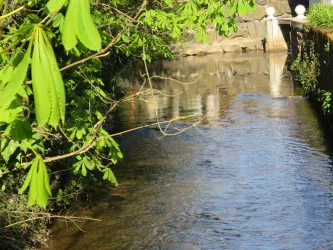 Spiegelbach mit Mühlgraben der Obermühle