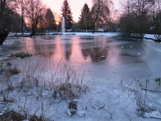 Morgenstimmung im WInter - Spiegelbachpark