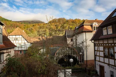Blick vom Balkon (© annweiler-ferienwohnung.de)