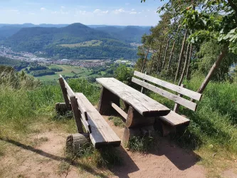 Picknickplatz Hohenberg (© Verein SÜW Annweiler e.V.)