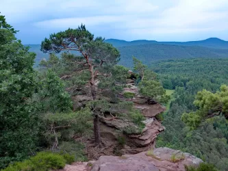 Schlüsselfelsen/Heidepfeiler (© Michael Kugler)