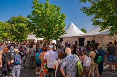 Heimat und Blütenfest (© Heimatlichter GmbH)