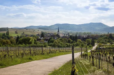 Blick auf Göcklingen