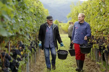 Hubert und Stefan Müller (© Weingut Hubert Müller)