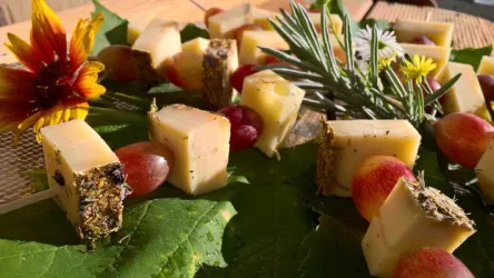 Genusstour: Käse, Wein und herbstliche Genüsse (© Touristinformation Maikammer)