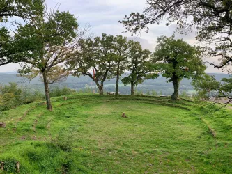 Thinkstätte der Burg Stauf grün