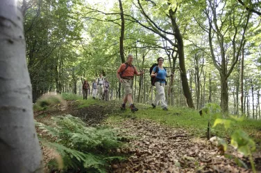 Wandern auf dem Keltenweg