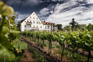 Weingut und Gästehaus