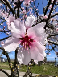 Erlebnis-Spaziergang in Rosa - Bild 11