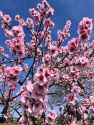 Erlebnis-Spaziergang in Rosa - Bild 12