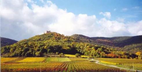 Schlos_Oktober_2001 Panorama