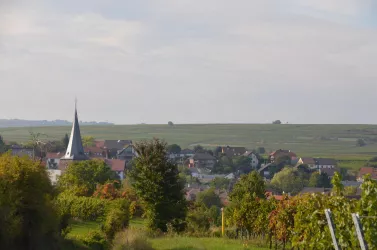 Blick auf Großkarlbach mit Kirchturm