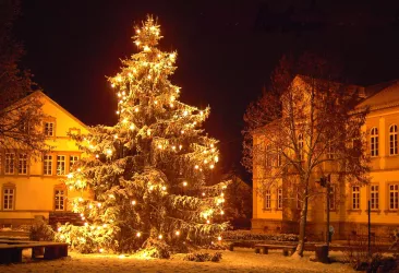 Heltersberg mit Schnee Hans Fritzinger2