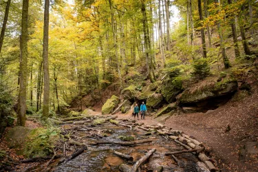 Wanderung durch das herbstliche Karlstal