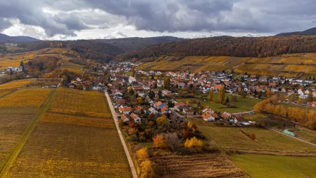 Pleisweiler-Oberhofen (© Tourismusverein  BZA)