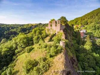 Blick auf die Burgruine Falkenstein (© Pfalz.Touristik e. V., Knut Pflaumer)