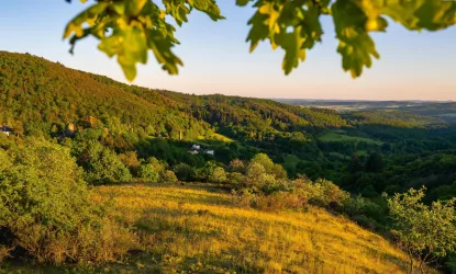 Blick über Falkenstein