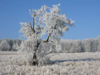 Wintertag in Sippersfeld