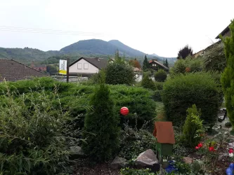 Blick auf Trifels (© Ferienwohnung Hohenberg)