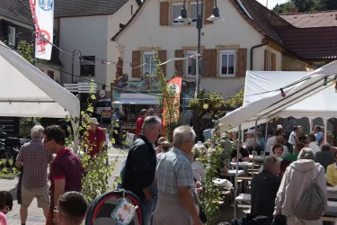 Festplatz Burrweiler Weinfest