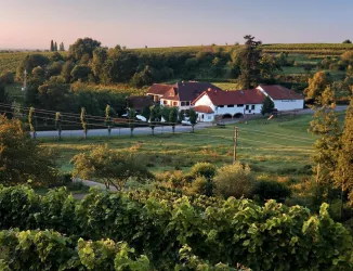 Burrweiler MühleBild_Front_Tourismus (© Burrweiler Mühle, Verein SÜW Edenkoben)