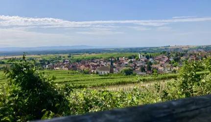 Blick über Schweigen-Rechtenbach