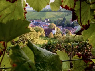 Blick auf Leinsweiler