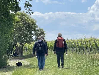 Weinwanderung