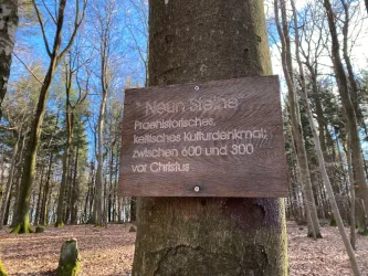 Information zum Steinkreis "Neun Steine"