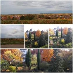 Collage-Herbst!.jpg3 (© B. Reibold-Niederauer)