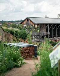 Die Mandelterrasse im Sommer