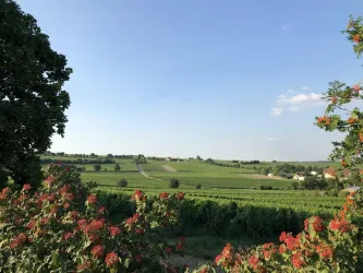Blick aus der Wohnung