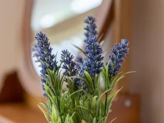 Lavendel