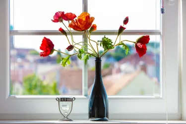 Detail Mohn Fenster