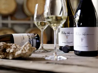 Weinprobe