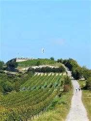 Spielberg Weinprobe