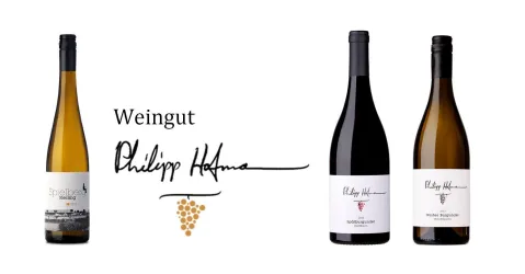 Weingut Philipp Hofmann