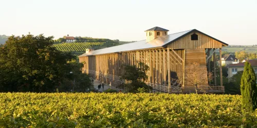 Gradierbau mit Weinlage Abtsfronhof