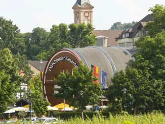 Fass mit Ludwigskirche