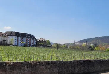 Blick auf das Haus