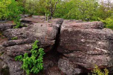 Drachenfels - Südfels - Felsplatten